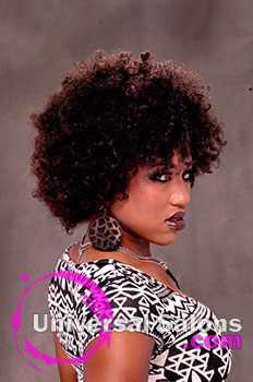 Erma Stephen's "Fierce Fro" Hairstyles for Natural Hair