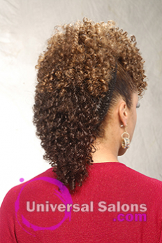 Back View Curly Mohawk Hairstyle with Twists from Shae Thompson