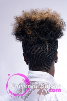 Back View of a Natural Hairstyle from Shayla Wade