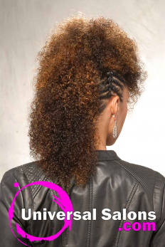 Highlighted Twisted Fohawk Hairstyle from Talia Brown Williams (5)