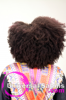 Natural Afro-Centri Black Hairstyle from Tanisha Holland (3)