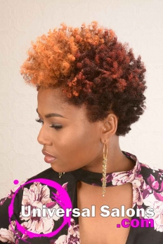Natural Hairstyle with Curls and Hair Color from D Hair Weaver (2)