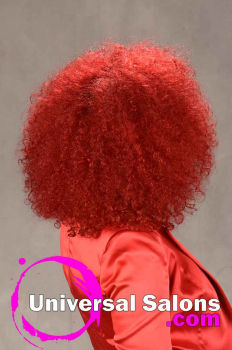Natural Hairstyle with Red Hair Color from Sakeyta Roberts (4)