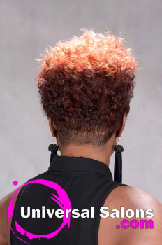 Short natural Hairstyle with Curls and Color from Tasha Hull (7)