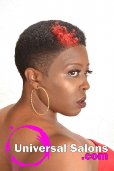 Short Natural Hairstyle with Hair Color from Bishop Da Showstopper (3)