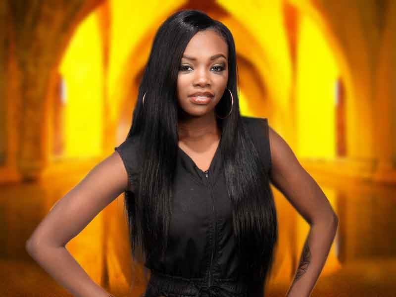 Long Sew In Weave Hairstyle for Black Women
