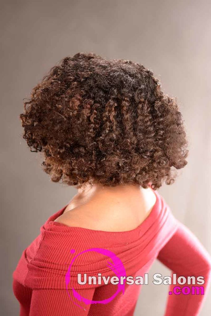 Double Flat Twist Curly Natural Hair with Highlights -8