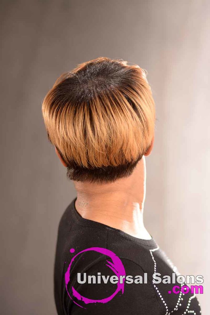 Back View: Short Hairstyle with a Custom Haircut and Ombre Color
