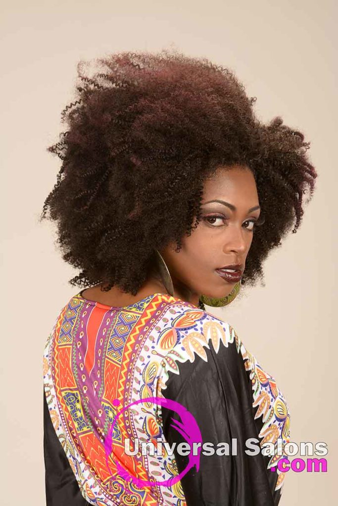 Natural Afrocentric Black Hairstyle from Tanisha Holland