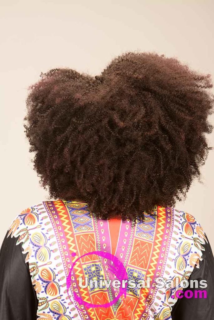 Natural Afrocentric Black Hairstyle from Tanisha Holland
