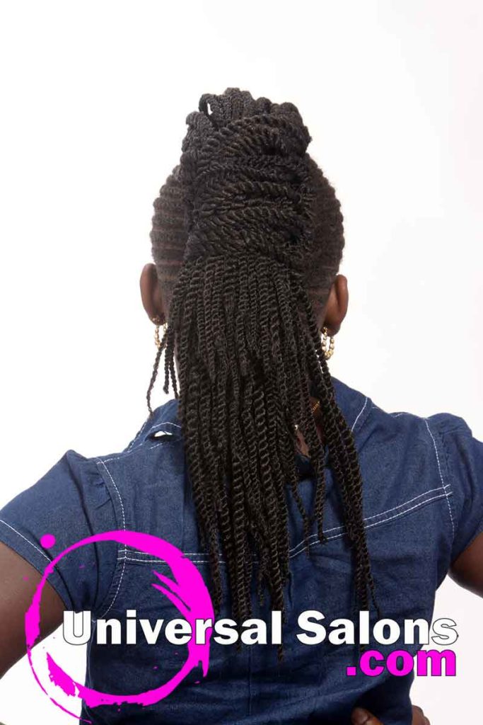 Back View: Right Side: Kids Braided Black Hairstyles for Little Girls