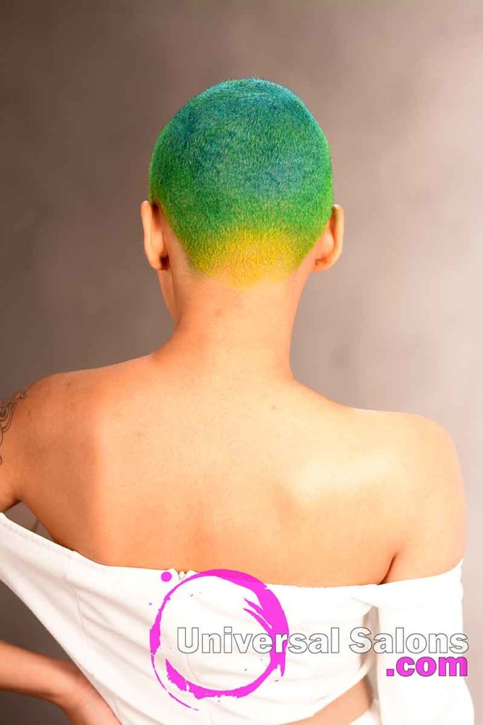 Back View of Rainbow Hair Color Brush Cut Hairstyle