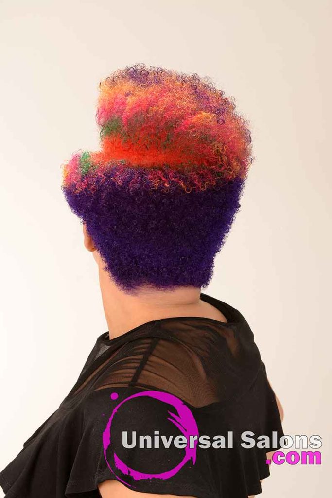 Back View of a Short Rainbow Hair Color