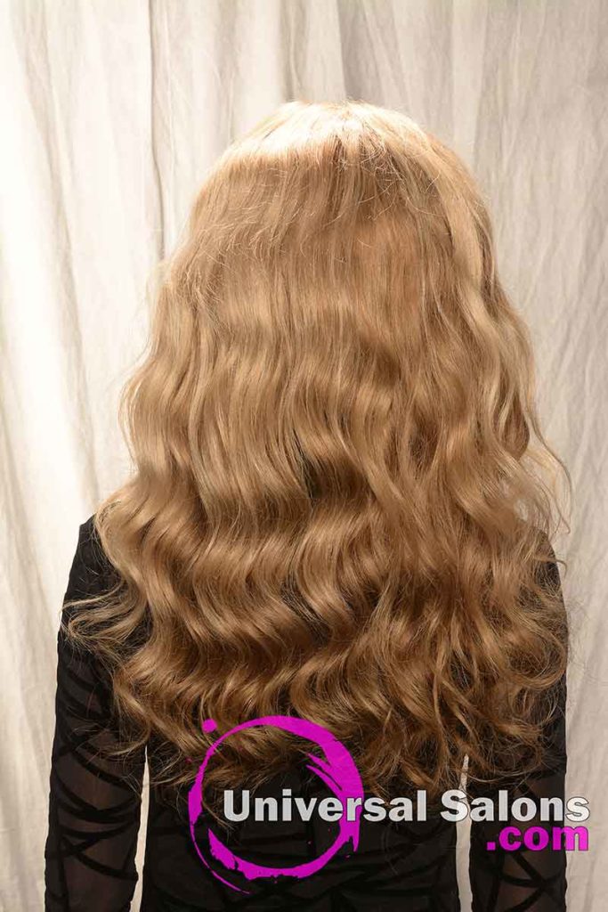 Back View of a Long Lace Front Wig Hairstyle
