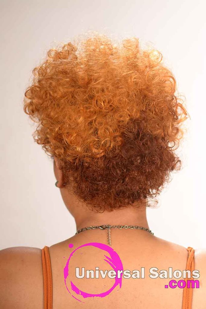 Back View of a Curly Ginger and Copper-Gold Hairstyle