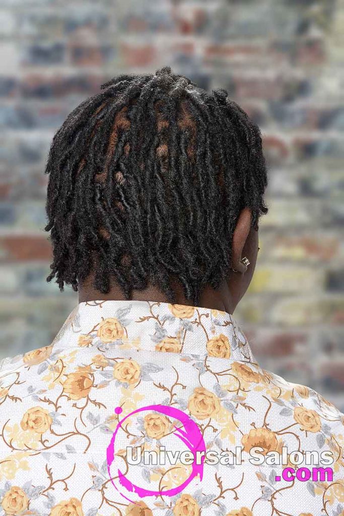 Back View: Men's Hairstyle