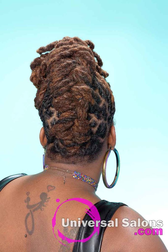 Back View of a Locks Updo Hairstyle