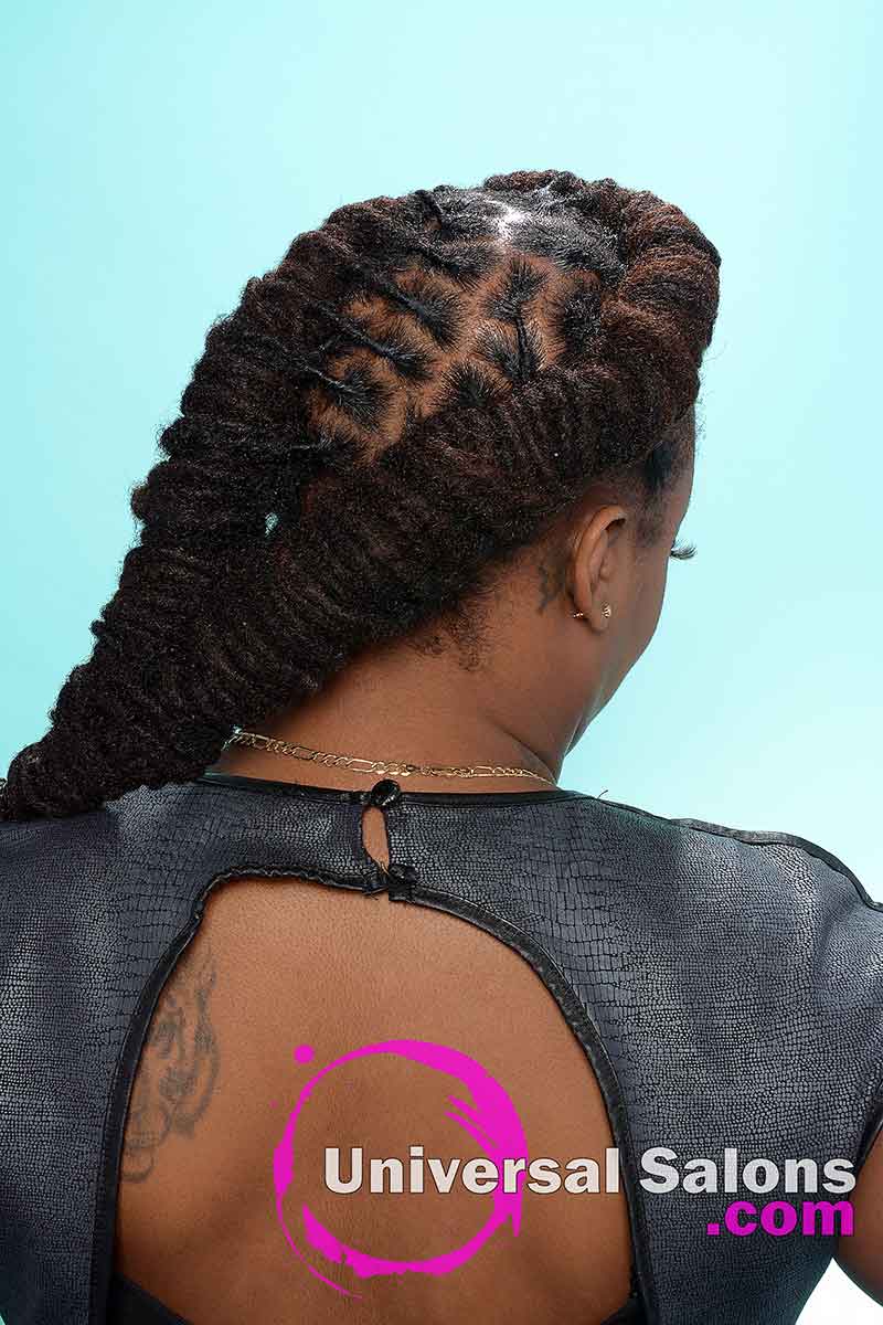 Back View of a Natural Locks Hairstyle