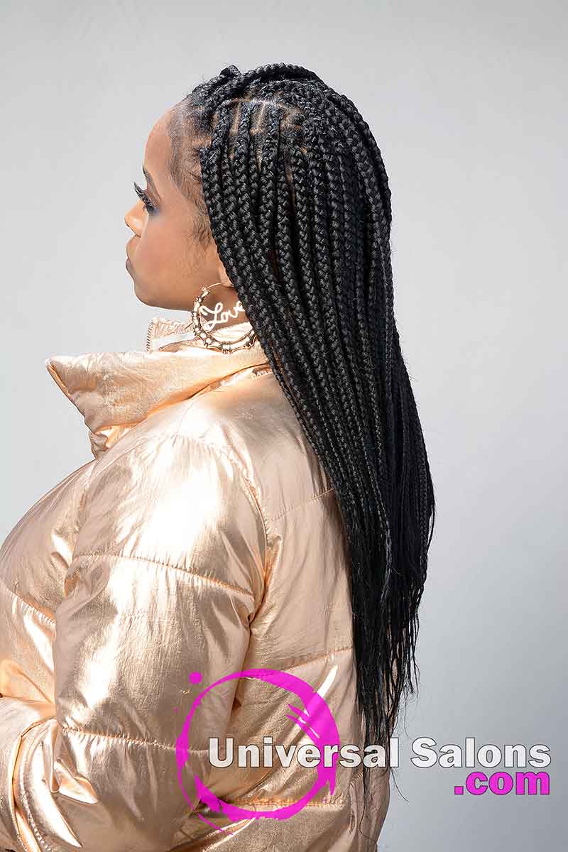 Right View Braids Hairstyle