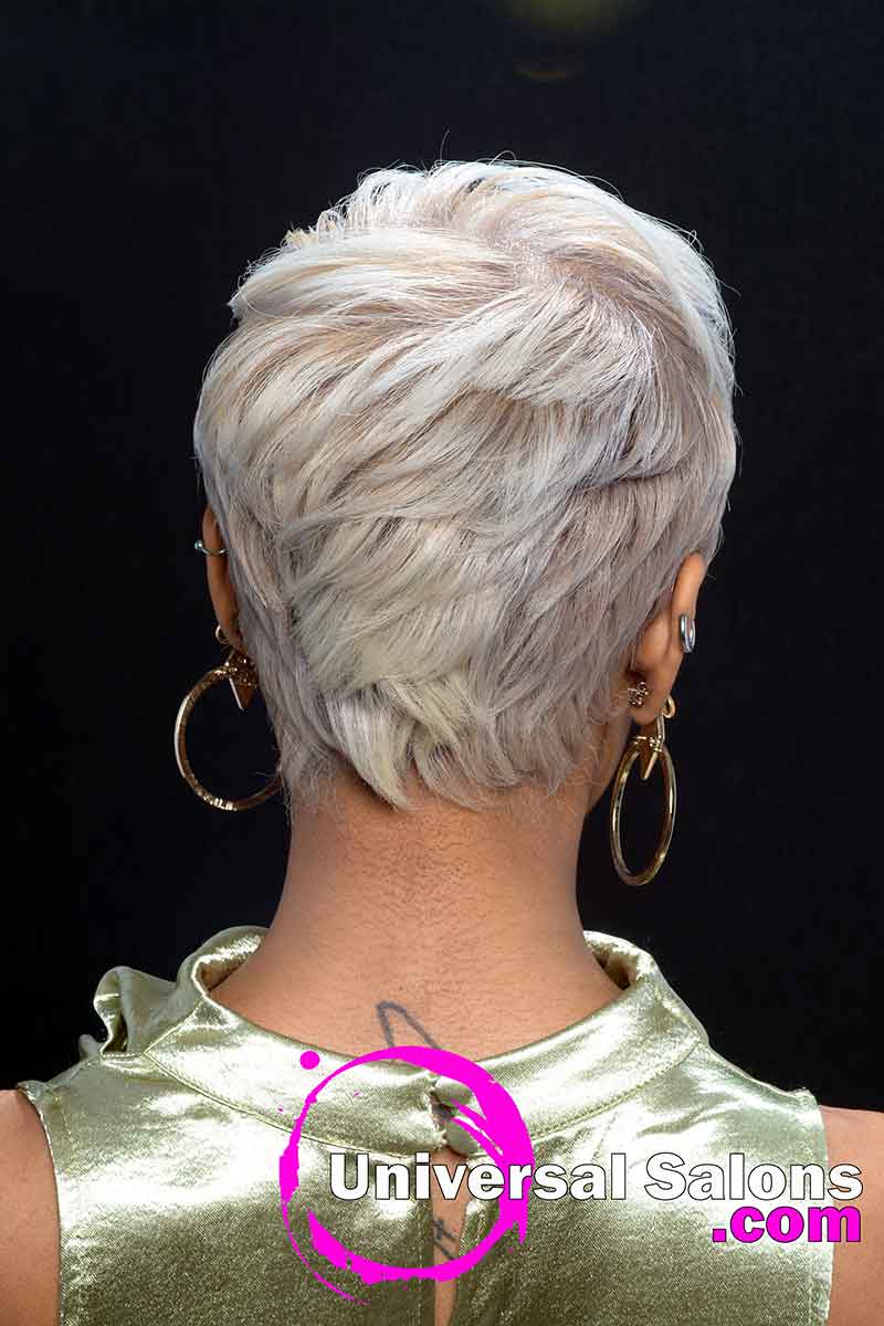 Back View Platinum Blonde Short Hairstyle