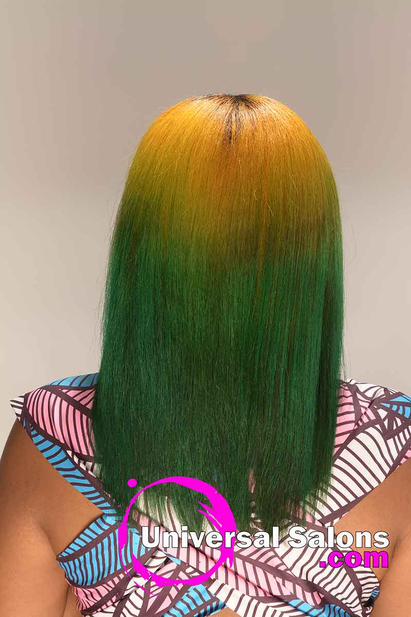 Back View Color Melt Hairstyle