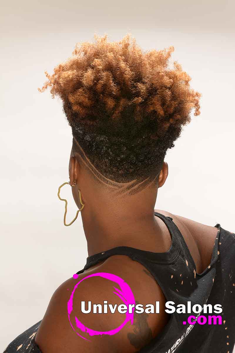 Back View of a Short Black Hairstyle With Curls